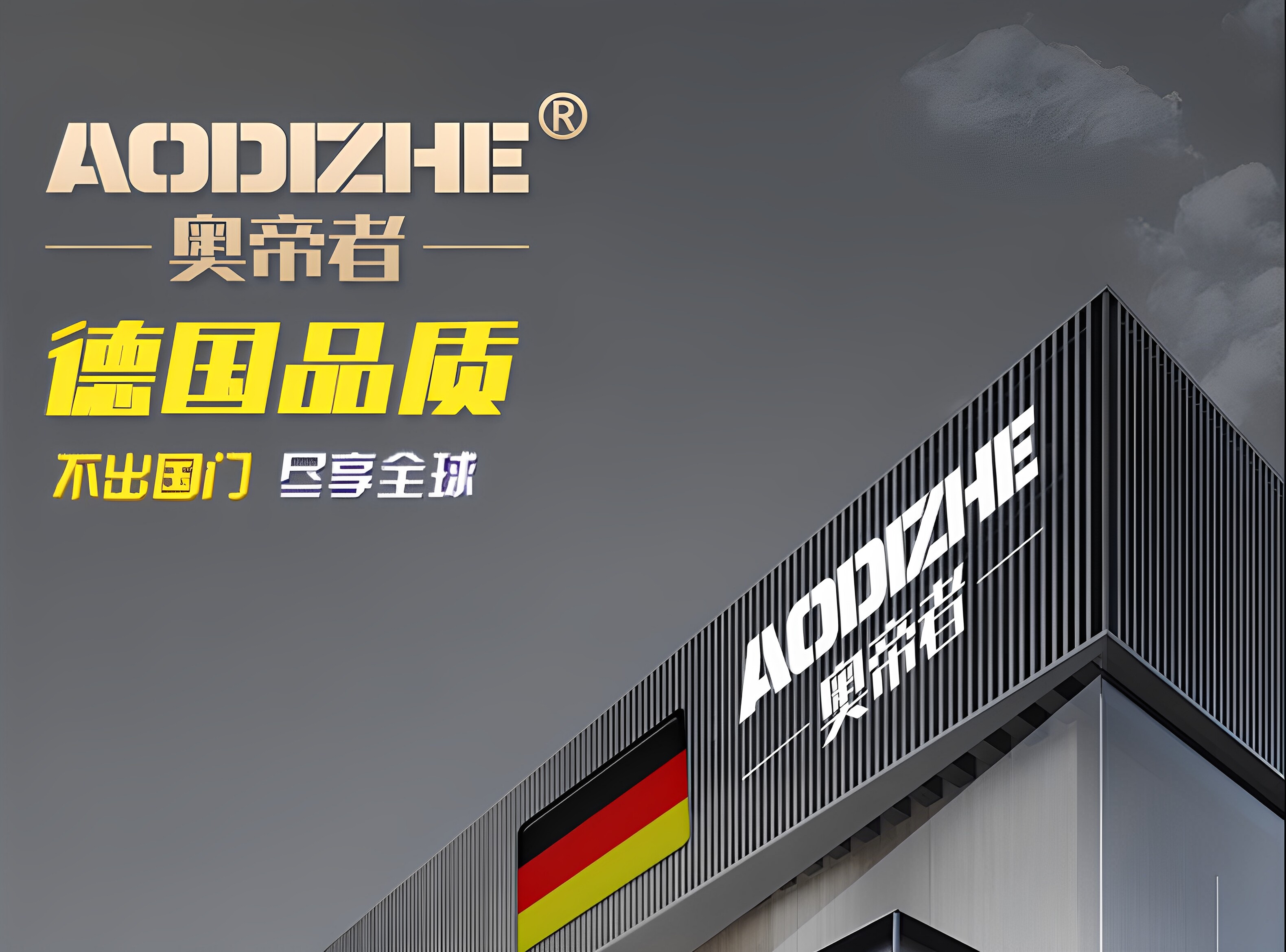 Газовый водонагреватель 正品平衡式燃气热水器家用液化气煤气款天然气洗澡恒温12升免水压 Zuanshihua