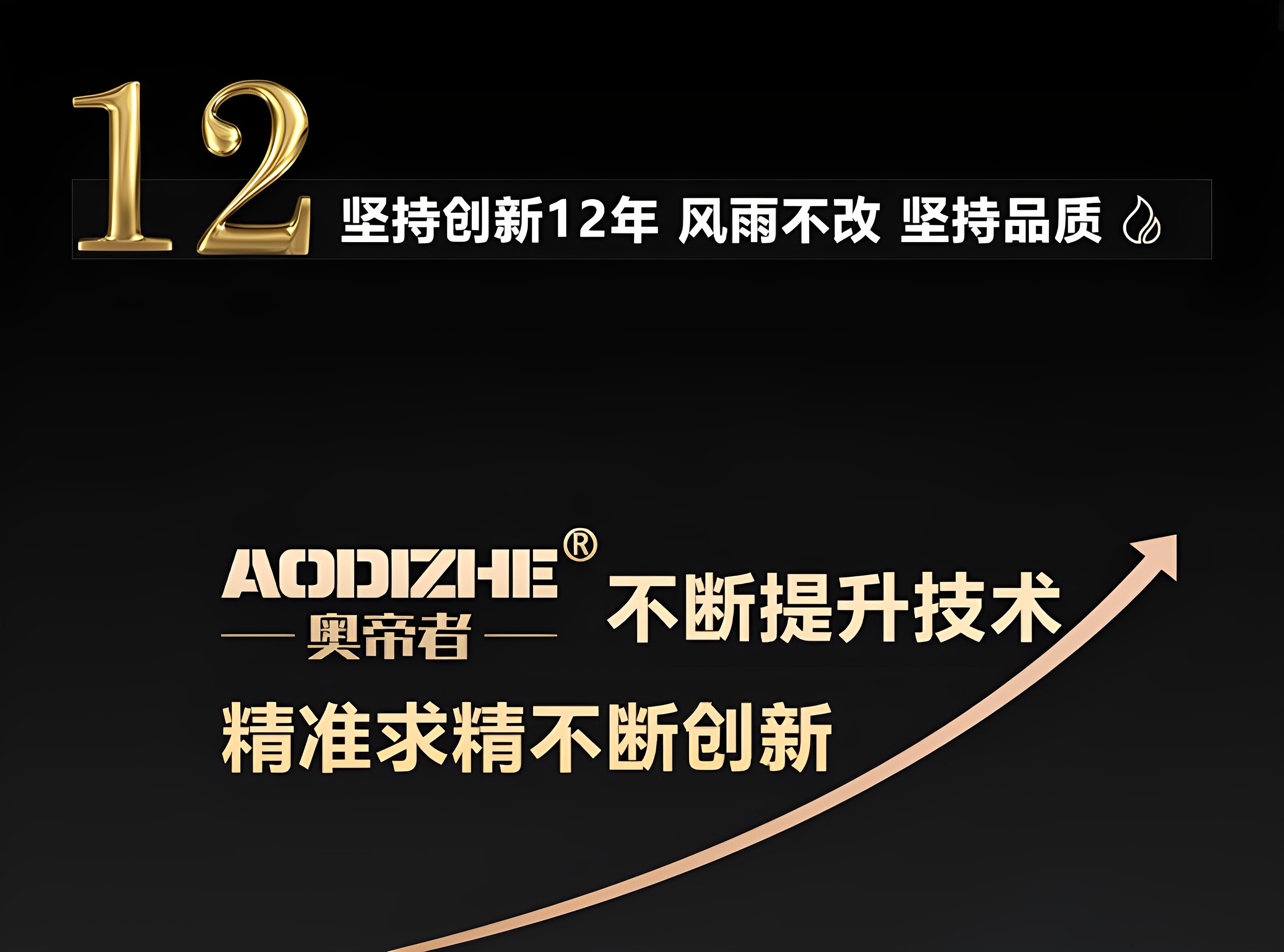 Газовый водонагреватель 正品平衡式燃气热水器家用液化气煤气款天然气洗澡恒温12升免水压 Zuanshihua