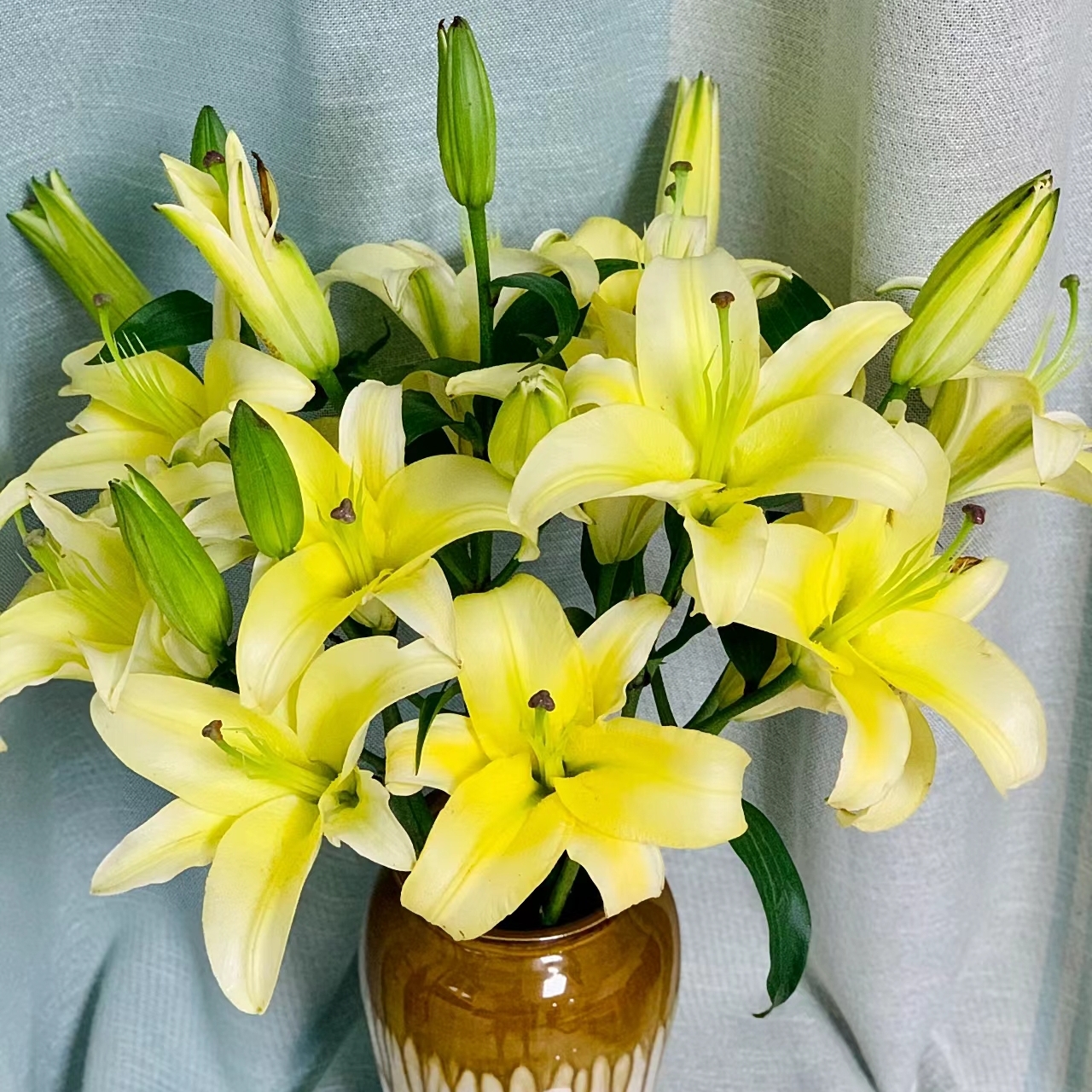 仿真纸花：仙翁与百合的美学新篇