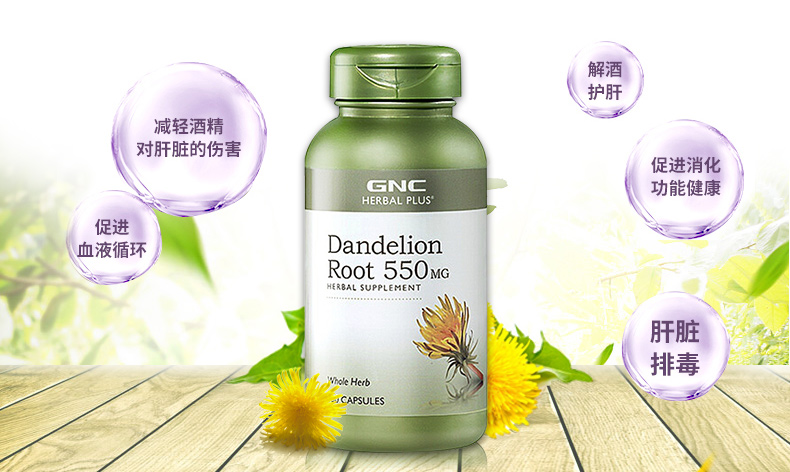 2 chai tinh chất rễ bồ công anh GNC Jiananxi 100 viên nang gan và túi mật giải độc gan và các sản phẩm chăm sóc gan - Thức ăn bổ sung dinh dưỡng viên uống đậu nành