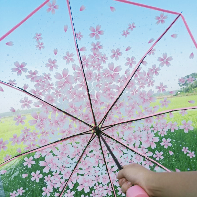 Summer Korean Style Manual Fresh Romantic Cherry Blossom Umbrella Transparent 70% off Artistic Shade Automatic Folding Umbrella for Men and Women