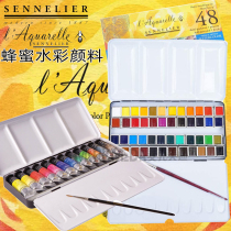  Imported Sennelier Watercolor Paint Master Honey Solid 12 6 Color Half Iron