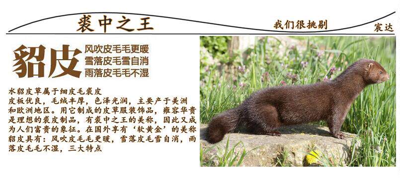 Blouson homme   OTHER - Ref 3122774 Image 50