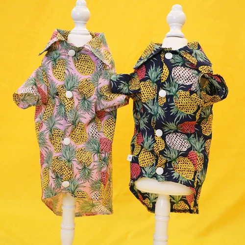 Безволочная одежда для кошачьей одежды красивая ананасовая рубашка Dvinienis Внешняя куртка пара одежда британская короткая выпадение волос