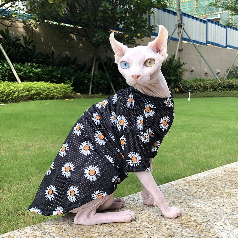 Sphinx no hairy cat clothes spring and summer elastic mesh breathable short foot vest small daisy to prevent hair cat clothes