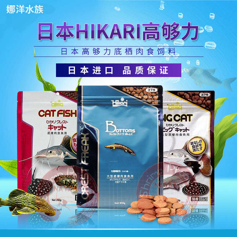 Hikari日本高夠力大型底棲肉食魚飼料異形鼠魚雷龍下沉型魚食飼料 Hikari日本高夠力大型底棲肉食魚飼料異形鼠魚雷龍下沉型魚食飼料