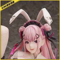 Native BINDing Rabbit maid Lucy hand-made reservation