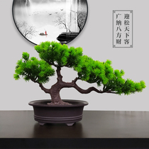 Simulation of welcome pine real shot indoor plants pine bonsai potted garden garden landscape green plant potted flowers