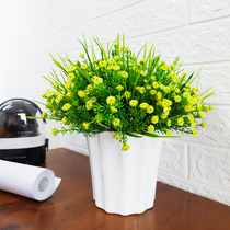 Simulation flower starry potted forget-me-not bouquet home living room bedroom decoration flower dried flower fake flower decoration