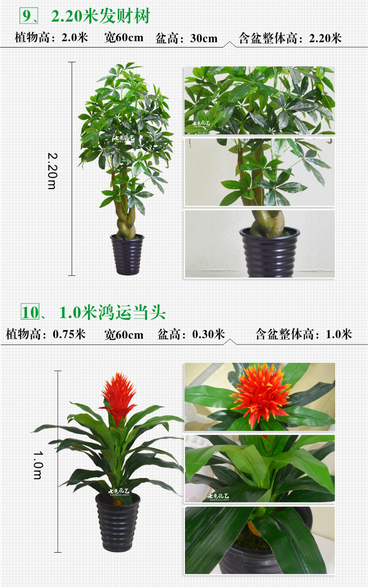 Cây giả cây giàu mô phỏng cây lớn sàn chậu trồng cây nhựa trang trí hoa giả mô phỏng phòng khách trong nhà cây xanh - Hoa nhân tạo / Cây / Trái cây hoa tử đằng giả