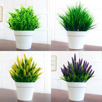 Simulation plant plastic fake flower and grass auspicious fruit potted green planting living-room indoor decoration floor bonsai floral art pendulum piece