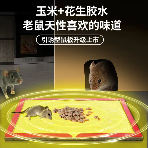 Супер сильная наклейка на стикер мыши, чтобы поймать большие крысы Большой размер утолщенного домохозяйственного улавливания мыши