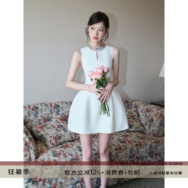Dryross Original Light Luxury High-End Birthday Dress with Sequins, A-Line Puff Sleeveless Dress for Everyday Wear Dryross Original Light Luxury High-End Birthday Dress with Sequins, A-Line Puff Sleeveless Dress for Everyday Wear