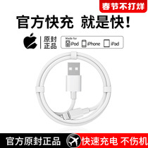 ipad data line mini Air 2 3 4 5 Applicable Apple 12 charger head pro flat 2A phone line 13 Fast charge iphone11 One suit 6 