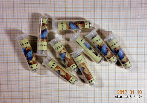 3 Number of insect needle Lepidoptera Insect Needle Specimen Needle Bio Experimental Equipment Promotion invoiced