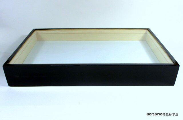 Insect Specimen Box Butterfly Specimen Box 560*350*80MM Shipped by SF Express or Debon Express