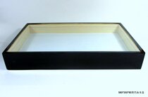 Insect specimen box Butterfly specimen box 560*350*80MM SF land transport or Debang express delivery