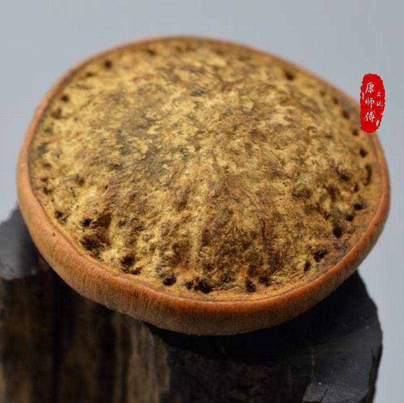 印度天竺菩提子原料 血丝龙珠菩提 文玩用20mm以上单颗菩提子-Taobao-Tmall