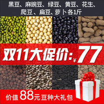 Gifts cloud show social beans package