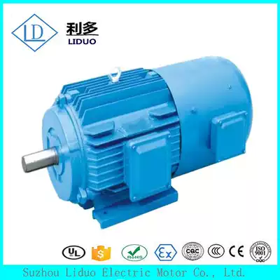 Low noise frequency conversion speed three-phase asynchronous motor YVF2-100L2-4 3KW vertical AC induction motor