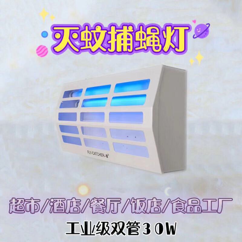 A gigi small and necropolis with dimenson 200 disenchanted mosquito-borne mosquitoes and lanterns for the mosquito and fly the fly lamp.