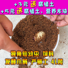 Насекомое питания рептилий/мин Жук ферментированных древесных