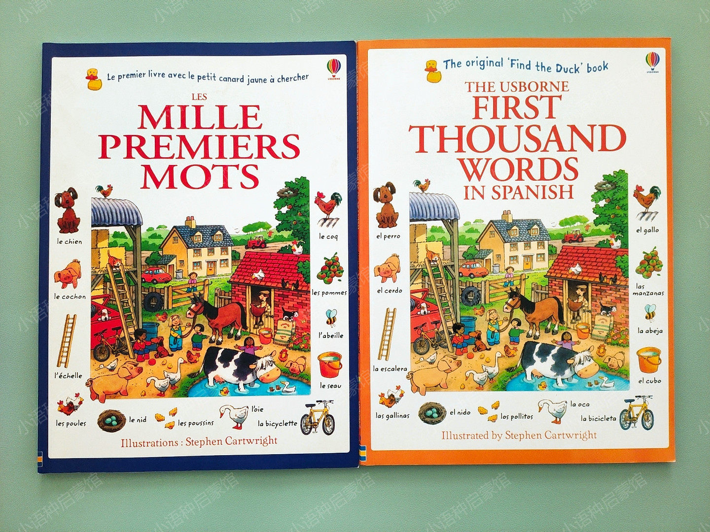 Little tadpole little master point reading pen French 1000 words Spanish 1000 words children's Spanish enlightenment learning