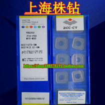 YBG202 SEET12T3-DM Zhuzhou alloy CNC 45 degree surface milling blade universal material