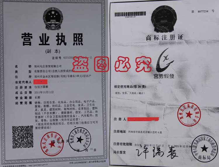 Extension cheveux - Ref 221630 Image 17