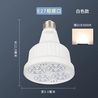 PAR White Shell 4000K теплый белый свет