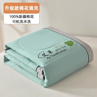 Mugwort Green [Class A Friendy Friendy Mugwort Antibacterial]