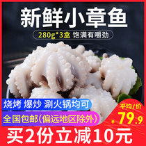 Fresh small octopus set meal 840g octopus short leg octopus hot pot ingredients convenient stir fried frozen seafood aquatic products