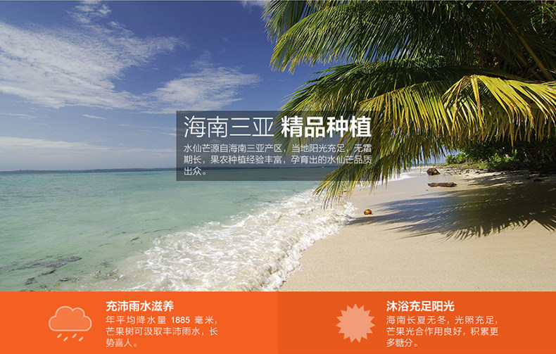 【促销好货】爆甜多汁 海南水仙芒(金煌芒)5斤