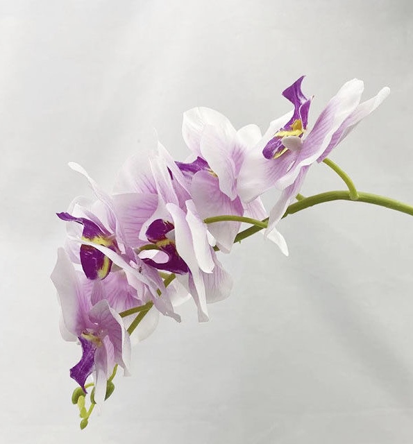 过胶保湿手感蝴蝶兰仿真花单支花客厅家居装饰花酒店婚庆插花假花详情6