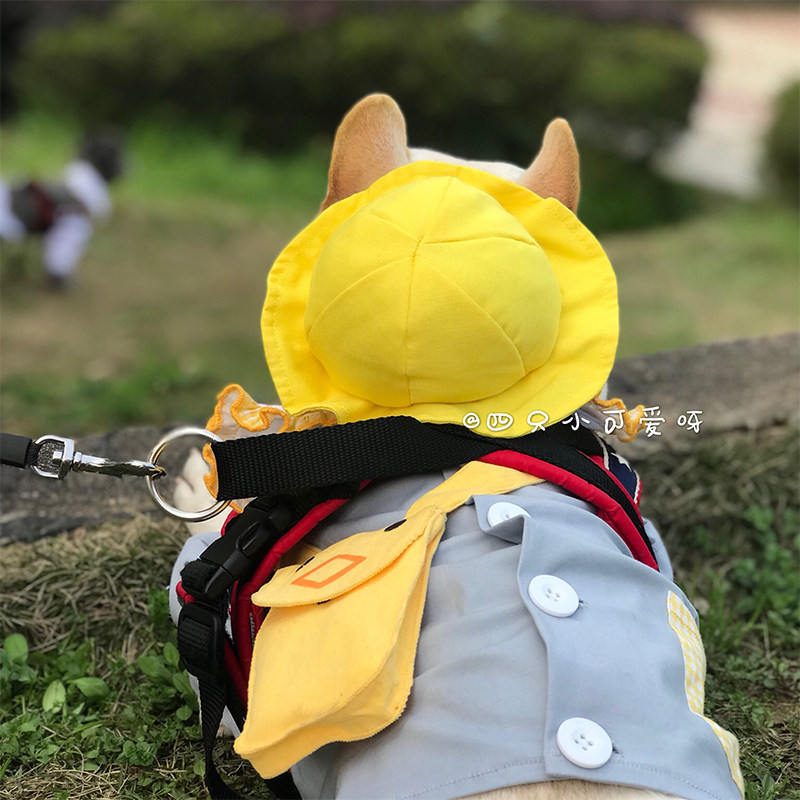 Dog accessories for pets with small yellow hat than bear teddy head decorated with cat Mabago's new Campus Wind France Cape Hood