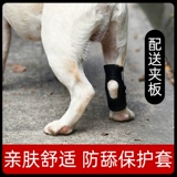 Перелома ноги собаки Фиксированная коррекция с шипами для питомца.