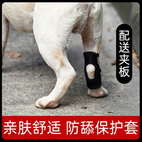 Перелома ноги собаки Фиксированная коррекция с шипами для питомца.