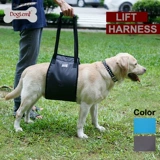 Педанские ходьбы собаки, идущие по лестнице, чтобы помочь Golden Mai Teddy Большая собака старшая собака, ходящая неудобная помощь собаки