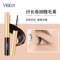 Pseudo-plain small brush head mascara waterproof slender natural curl plus dense non-fainting up and down anti-fainting