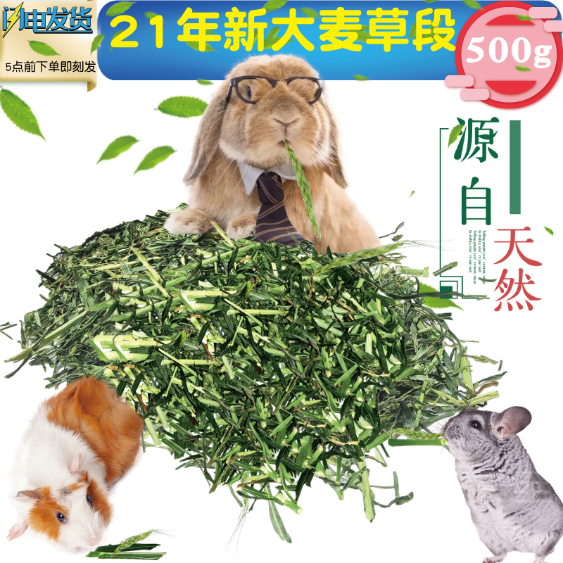 Rabbit barley grass section forage Feed Rabbit favorite grass Rabbit feed hay feed Dutch pig grass Dutch pig food