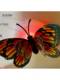 Glow-In-The-Dark Butterfly Stickers for Bedroom and Living Room Led Electronic Light-Emitting Self-Adhesive Background Wall Cute Romantic Christmas Scene Decoration