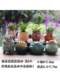 Succulent Flower Pots Ceramic Clearance Simple Indoor Clearance Sale Special Price Home Succulent Plants Creative Thumb-Sized Small Flower Pots