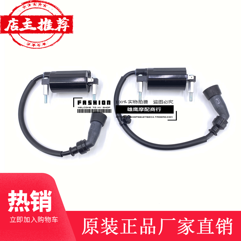 Suzuki high pressure packet GW250 DL250 GSX250R high voltage packet combination of high voltage packet ignition