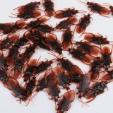 Поддельная игрушка-таракан, имитация трюка, маленькая пародия на жука, страшный артефакт для розыгрыша, пластиковый таракан, обманывающий человека