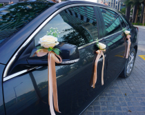 Korean-style team flower co-car pull flower set