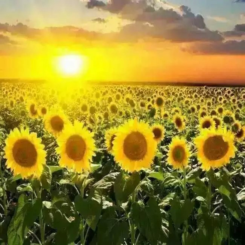 A few yuan to make up the difference and take a few copies of the postage difference