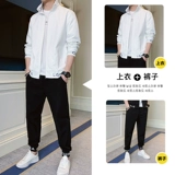 Осенний комплект, куртка, универсальный спортивный костюм, простой и элегантный дизайн