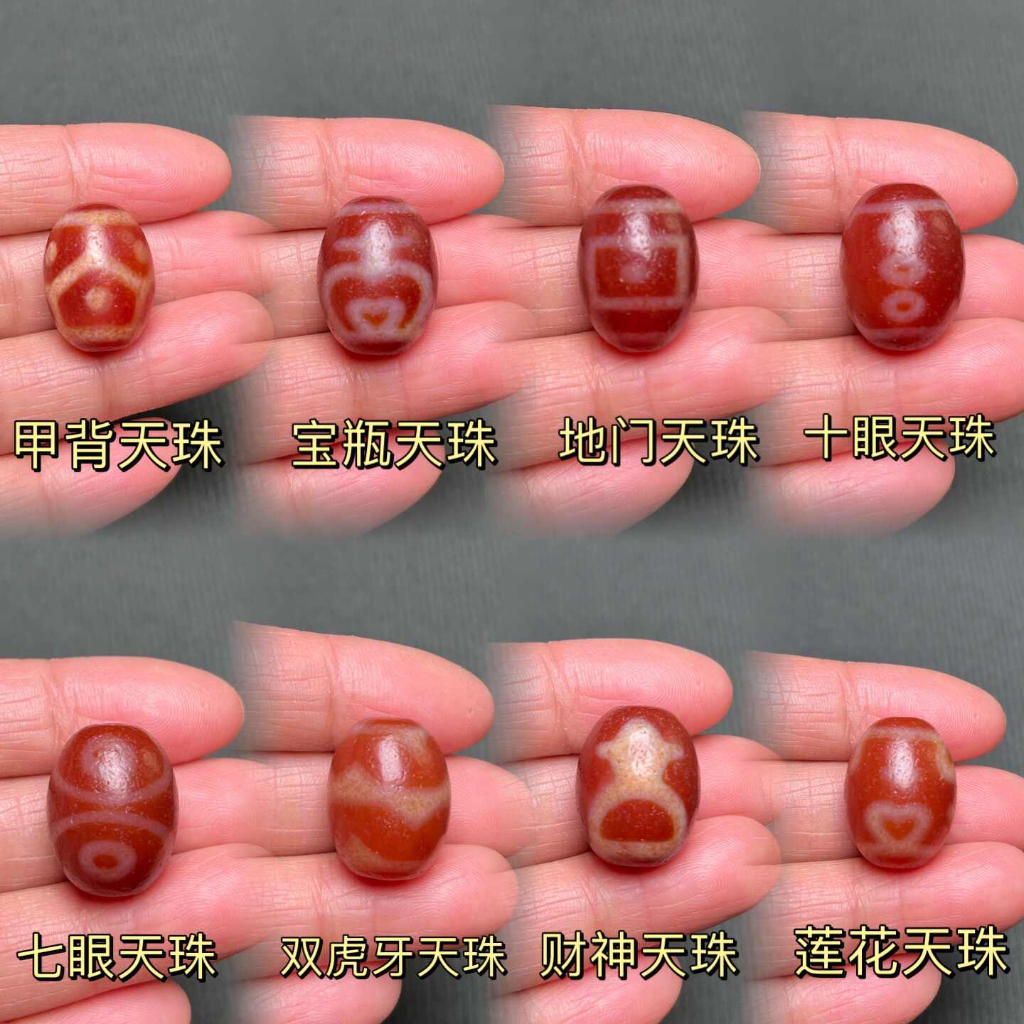 激安。透明紅肉虎牙小顶天珠 瑞々しかっ