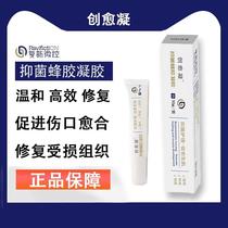 Wound healing antibacterial propolis gel pet external wound healing and hemostasis dog cat skin ulcer dog postoperative recovery
