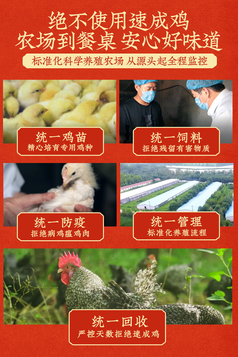 天猫超市 中华老字号 德州扒鸡 400g 图15